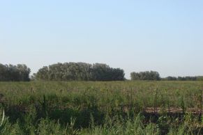 Partido de Cañuelas, Provincia de Buenos Aires. Sobre Autopista Ezeiza-Cañuelas